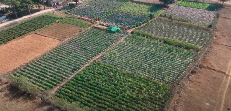 कृषि क्षेत्र